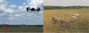 an open-source, autonomous and affordable unmanned aerial system for animal behavioural video monitoring – Methods Blog